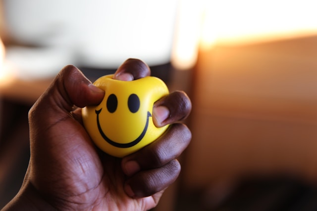 Emotional Regulation & Mindset
